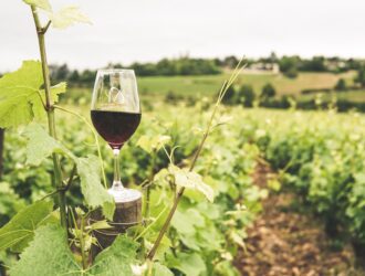 How to Start a Wine Business