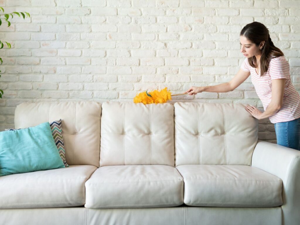 cleaning a couch
